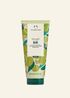 OLIVE BODY LOTION 200 ML 1 INAAUPS363 product zoom