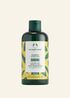 1097894 SHAMPOO BANANA 250 ML BRNZ NW INAAUPS017